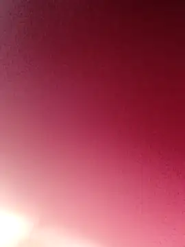 privadinhonm29 online show from February 2026 01:27:01 AM