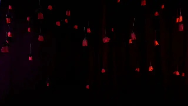 lnxmst online show from February 2026 11:49:02 PM