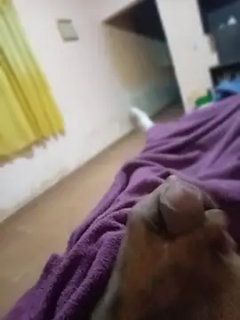 carloshot31 online show from March 2026 08:49:02 AM