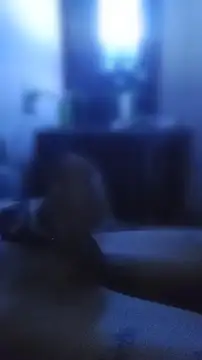 carloshot31 online show from April 2026 10:33:01 AM