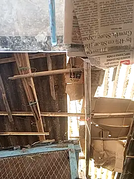 Skinny Bigass 23 online show from November 2025 07:01:02 AM