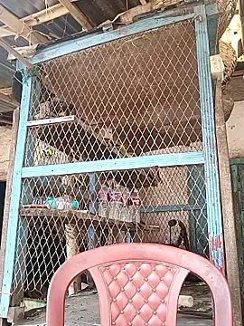 Skinny Bigass 23 online show from February 2026 07:02:01 AM