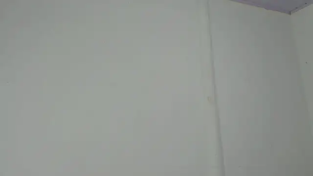 Amir mikelsen online show from February 2026 06:19:01 PM