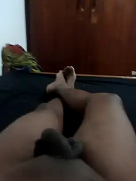 Snapshot of Sl_python chatting on December 2024 05:10:02 PM Sl python online show from December 2024 05:10:02 PM