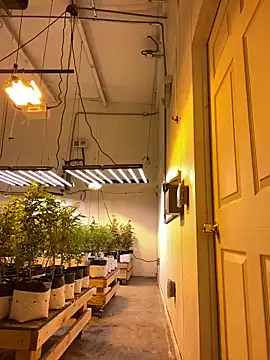 Snapshot of jr91esl chatting on March 2025 05:20:01 PM jr91esl online show from March 2025 05:20:01 PM