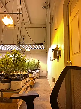 Snapshot of jr91esl chatting on March 2025 06:05:02 AM jr91esl online show from March 2025 06:05:02 AM