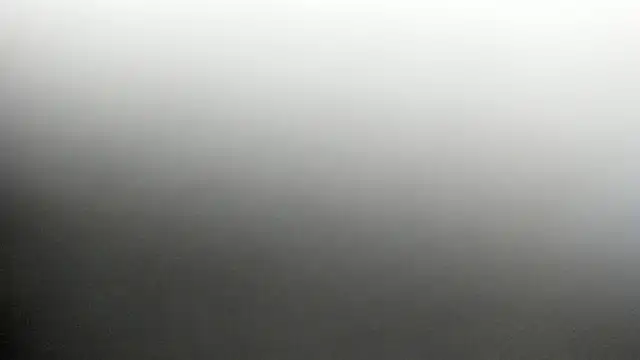 Jessi powel online show from March 2026 12:18:02 PM