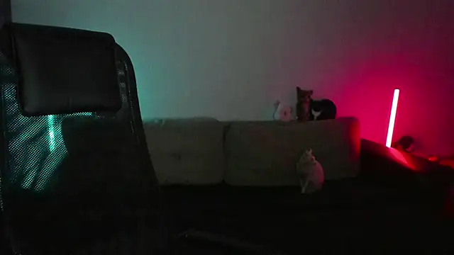 Ostin meow online show from April 2026 02:30:01 PM