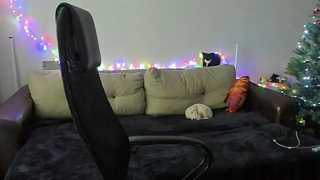 Ostin meow online show from December 2025 08:38:01 AM