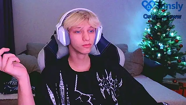 Snapshot of Ostin_meow chatting on January 2025 03:46:02 PM Ostin meow online show from January 2025 03:46:02 PM