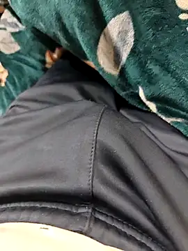 faaseel online show from February 2026 06:33:02 AM