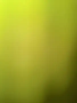 Snapshot of faaseel chatting on March 2025 08:08:02 AM faaseel online show from March 2025 08:08:02 AM