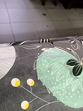 Snapshot of faaseel chatting on September 2025 03:21:01 AM faaseel online show from September 2025 03:21:01 AM