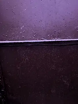 Snapshot of faaseel chatting on October 2025 02:57:02 AM faaseel online show from October 2025 02:57:02 AM