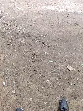 Snapshot of faaseel chatting on October 2025 07:21:01 AM faaseel online show from October 2025 07:21:01 AM