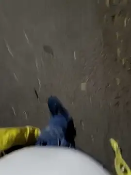 Snapshot of faaseel chatting on November 2025 12:42:02 PM faaseel online show from November 2025 12:42:02 PM