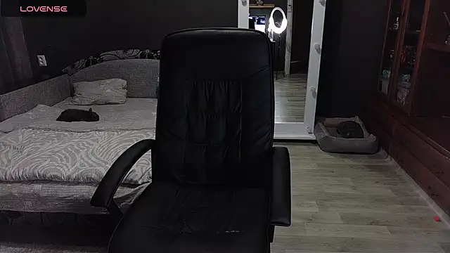 Aria Dl online show from December 2025 12:43:02 PM