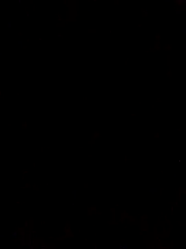 FlacoDani online show from April 2026 04:44:01 PM
