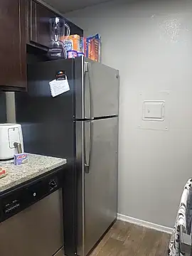 TwilightSiren online show from January 2025 01:06:01 AM