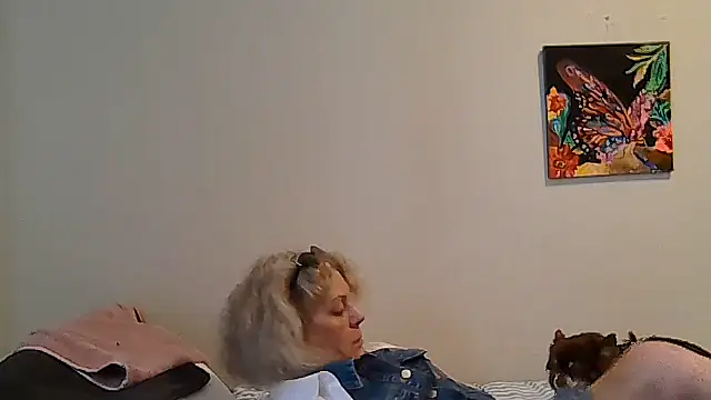 housewife shantie online show from May 2026 11:03:02 AM
