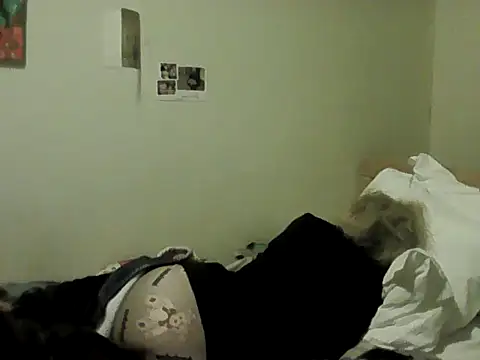 housewife shantie online show from February 2026 08:50:02 PM