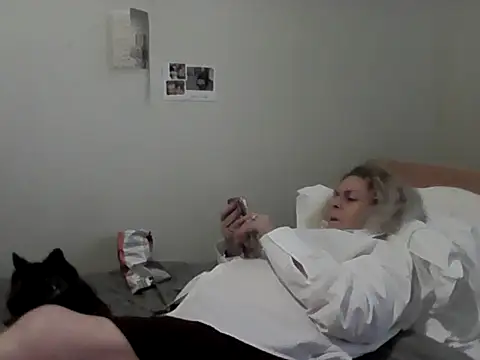 housewife shantie online show from February 2026 11:52:02 AM