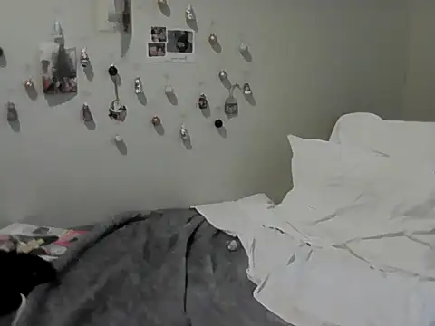 housewife shantie online show from November 2025 12:17:01 PM