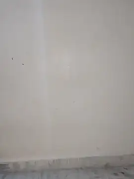 Sexy Radhikaa online show from May 2026 04:10:02 AM