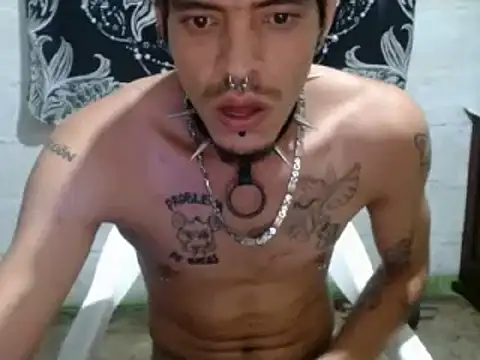 tayler punk noise online show from December 2024 07:14:01 PM