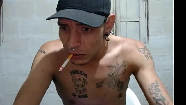 tayler punk noise online show from January 2025 12:12:01 AM