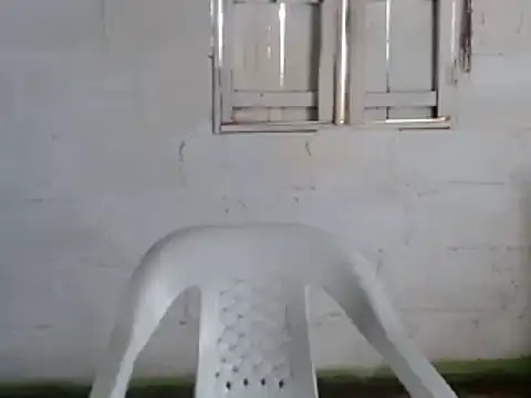 tayler punk noise online show from December 2024 03:42:01 PM