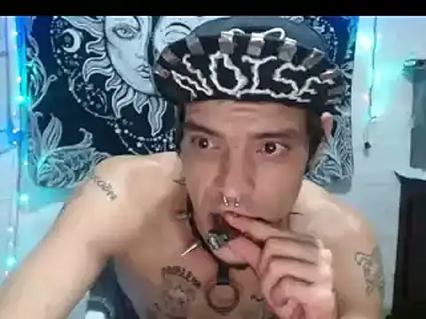 tayler punk noise online show from December 2024 02:08:02 AM