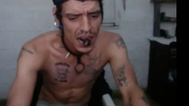 tayler punk noise online show from January 2025 12:49:01 AM