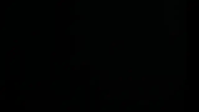 tayler punk noise online show from January 2025 06:41:02 PM