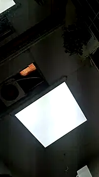 tula chyk online show from February 2026 02:39:01 PM