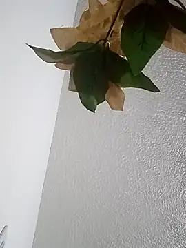 Naomy veracruz  online show from February 2026 10:59:02 AM