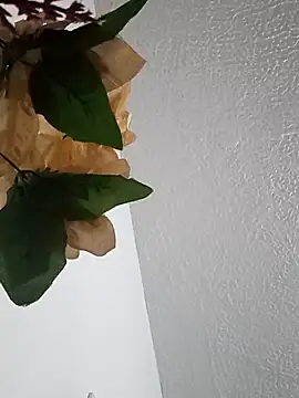 Naomy veracruz  online show from February 2026 10:05:01 AM