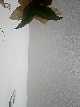 Naomy veracruz  online show from April 2026 11:02:01 AM