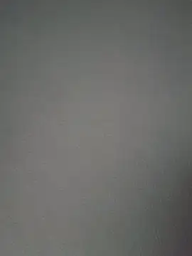 Naomy veracruz  online show from April 2026 11:47:01 AM