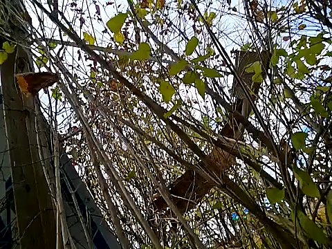 Fuckboy4public online show from November 2025 05:39:01 PM