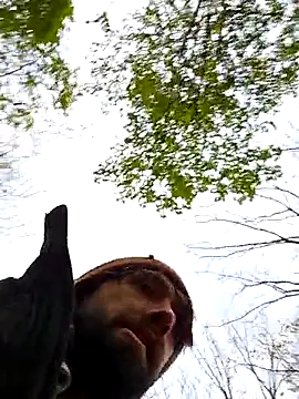 Fuckboy4public online show from October 2025 09:32:02 PM