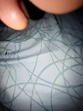 lemon69Reo online show from November 2025 05:44:01 AM