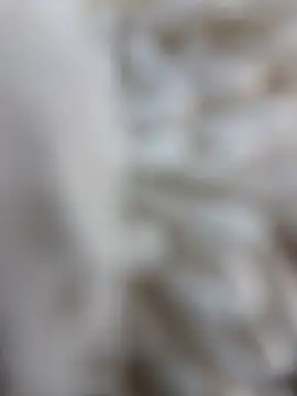 Snapshot of lemon69Reo chatting on February 2026 08:41:01 PM lemon69Reo online show from February 2026 08:41:01 PM