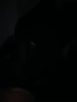 Bignc online show from March 2026 11:33:02 AM