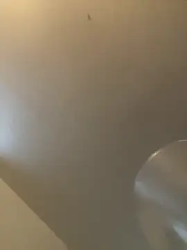 bv7L1h5i6B jNHe online show from January 2025 01:05:01 PM