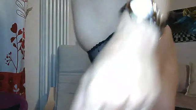 MISXY online show from September 2025 08:36:02 AM