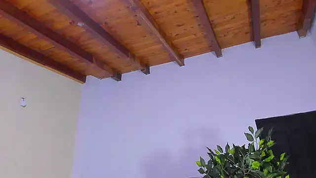 Snapshot of im_sebaslopez chatting on February 2026 07:58:01 PM im sebaslopez online show from February 2026 07:58:01 PM