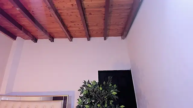 Snapshot of im_sebaslopez chatting on January 2026 08:01:02 PM im sebaslopez online show from January 2026 08:01:02 PM