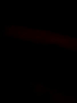 Snapshot of jtf4055 chatting on March 2025 05:07:01 AM jtf4055 online show from March 2025 05:07:01 AM