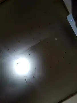 Snapshot of Innsaciable chatting on March 2026 11:03:01 AM Innsaciable online show from March 2026 11:03:01 AM